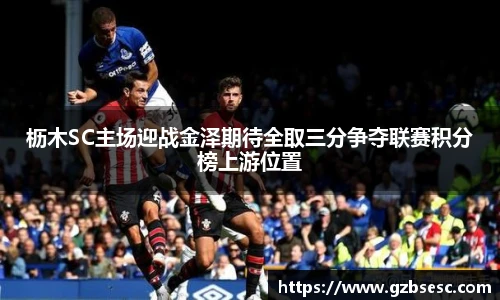 枥木SC主场迎战金泽期待全取三分争夺联赛积分榜上游位置